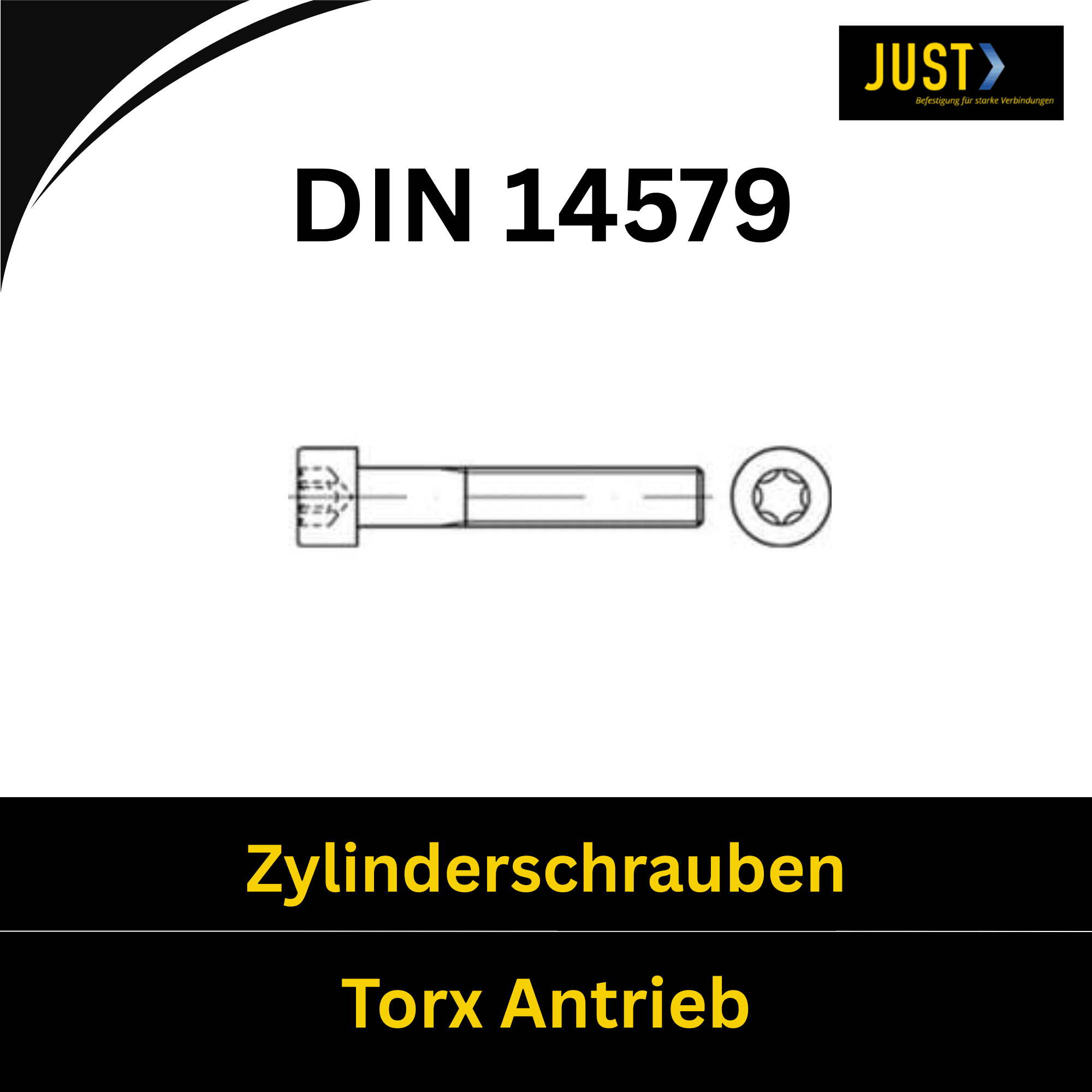 Bild für Kategorie ISO 14579 ➤ Zylinderschrauben mit TX Antrieb